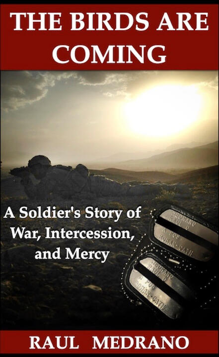 The Birds Are Coming: A Soldier's Story of War, Intercession, and Mercy